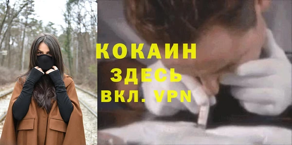 соль ск Абдулино