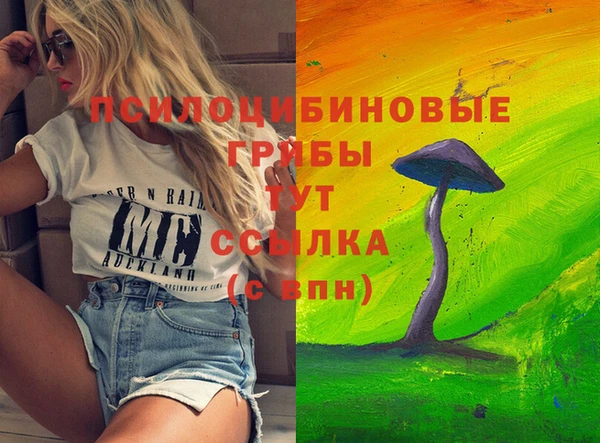 mdma Пересвет